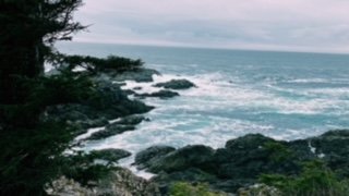 A Beach Getaway in Tofino