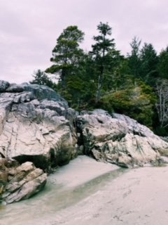 A Beach Getaway in Tofino