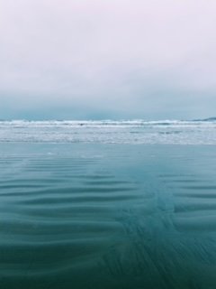 A Beach Getaway in Tofino