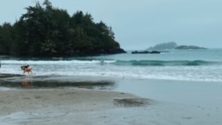 A Beach Getaway in Tofino