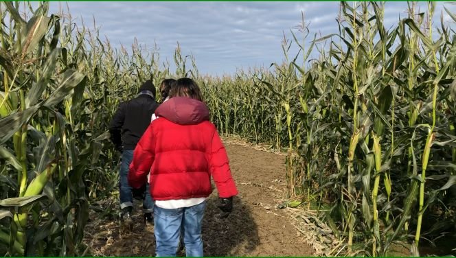 A Day at the Richmond Country Farm Pumpkin Patch