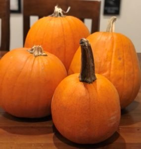 A Day at the Richmond Country Farm Pumpkin Patch